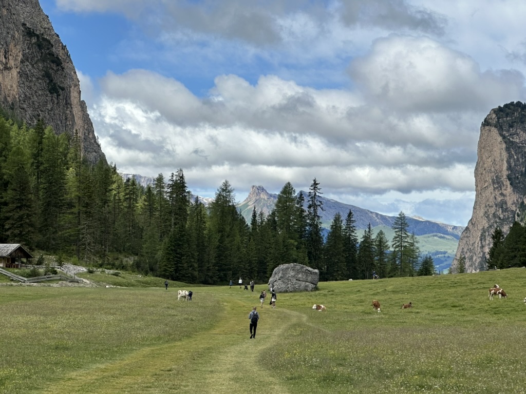 Stacks Image 47